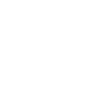 IBM IBM